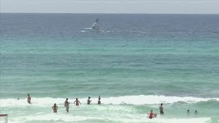 Residents want more to be done about Walton beach flag warning systems