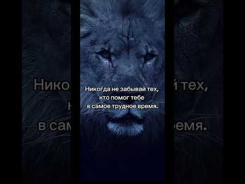 #трансформация #мотивацияивдохновение #реализация #мотивациянауспех #цитаты