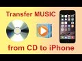 How to transfer music from CD to iPhone using Windows Media Player