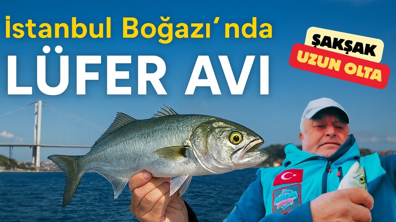 Boğaz’da Lüfer Avı! Şakşak & Uzun Olta Bir Arada!