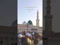 👀 Deedar-e-Mustafa 🌙 | Madinatul Munawwara ✨ #madinah #masjidnabawi #shorts #islamicshorts #explorer