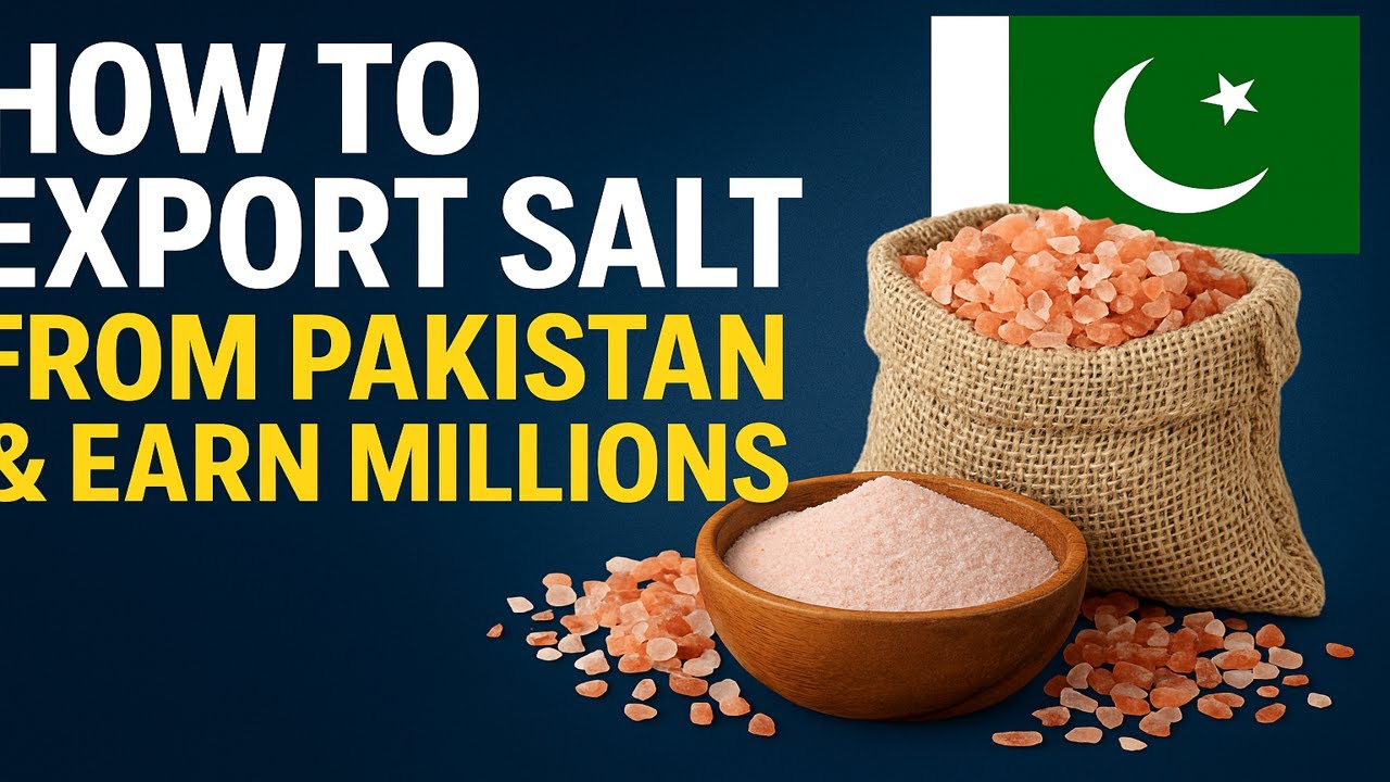 How to Export Salt from Pakistan & Earn Millions | Complete Guide 2025