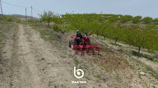 Baktar food apricot garden