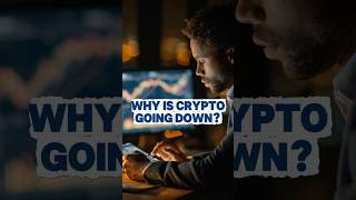 Bitcoin Crash: The Question Traders Should Be Asking