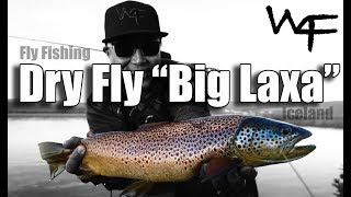 W4F - Fly Fishing Iceland - Best Dry Fly Stream 'Big Laxa'