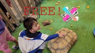 FREE Petting Zoo Experience! #free #animals #fun