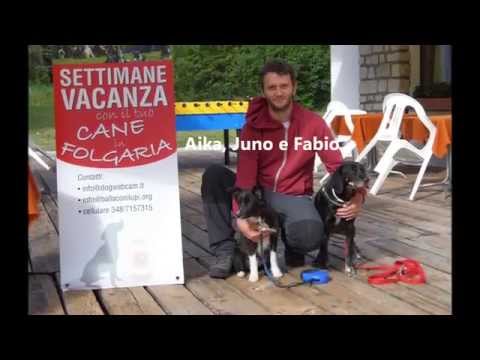 Agility ' Peak