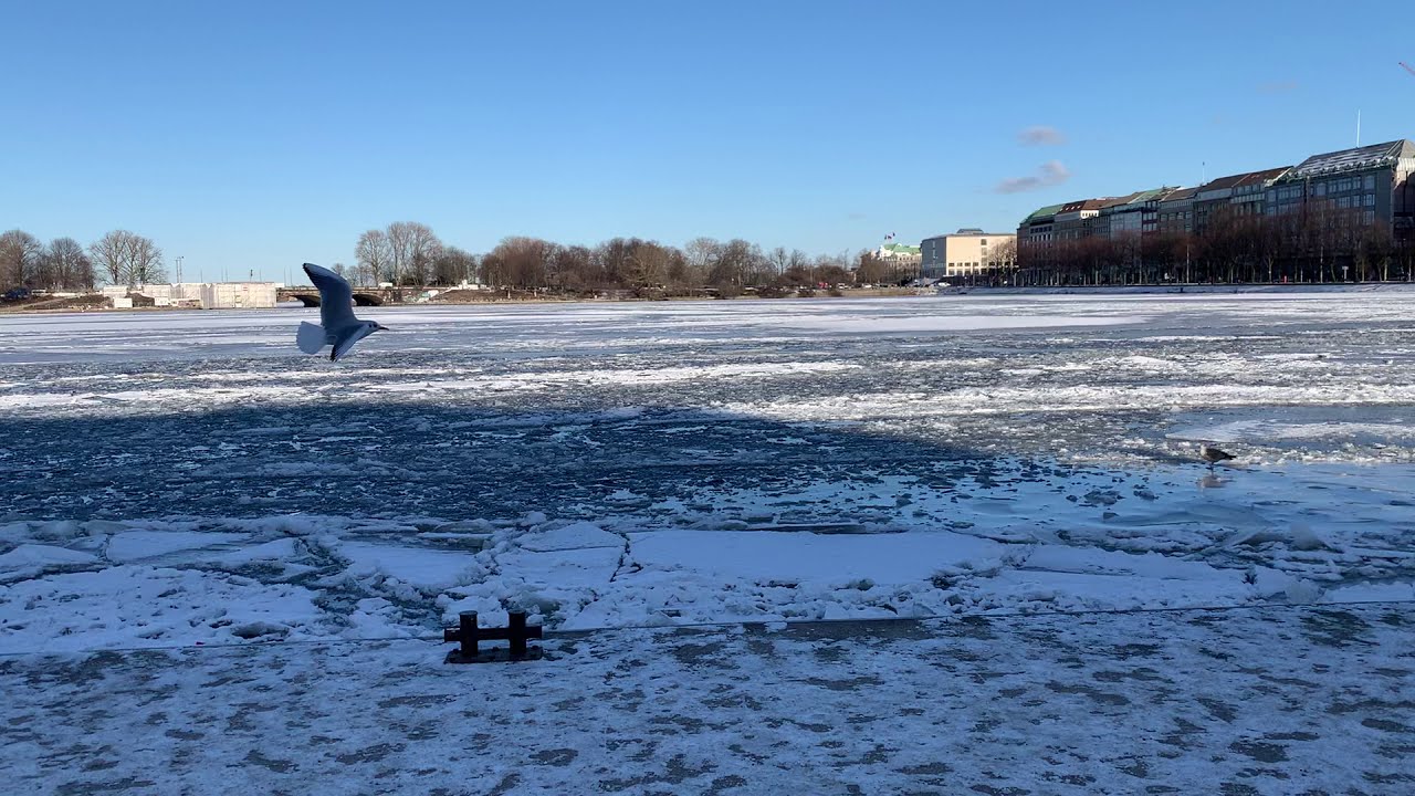 Hamburg Alster im Winter - frozen lake Hamburg 2021