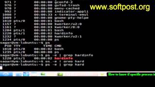 How to know if specific process is running in Bash