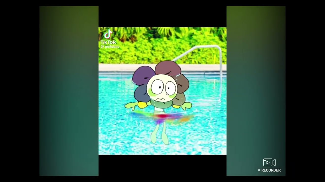 Keeping up with the Toonashians