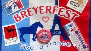 Non-Model Horse Things I Got at BreyerFest 2015