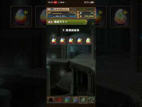 【パズドラ】 2026/08/01　ゴッドフェスガチャ5連