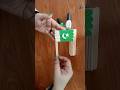 How to make a Flag using Ice Cream Sticks #pakistan #craft #independenceday #flag #popsicleflag