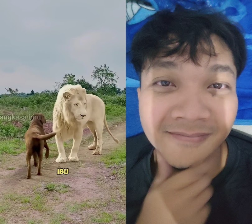 Singa putih ini dibesarkan anjing 😱  #animals #hewan #wildlife #cat #duet #shorts