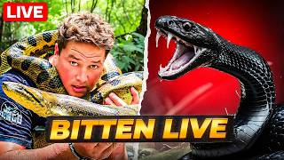 Dingo Dinkelman Bitten by Deadly Snake on Camera | Real-Life Wildlife Emergency
