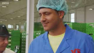 Redpack P325E TP packing tri-pack Peppers on the BBC