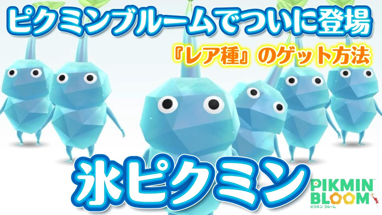 入手難易度が高すぎる『氷ピクミンのレア種』を初日にゲットしちゃいました【#ピクミンブルーム / #PikminBloom 】