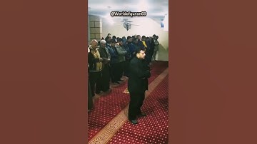 عالم القران | تلاوة من القرآن الكريم - #غزة #فلسطين #القرآن_الكريم (3)