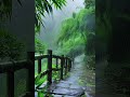 Rain and thunder with birds sounds for deep sleep, relaxation, quiet #rainoundforsleep #thundersound