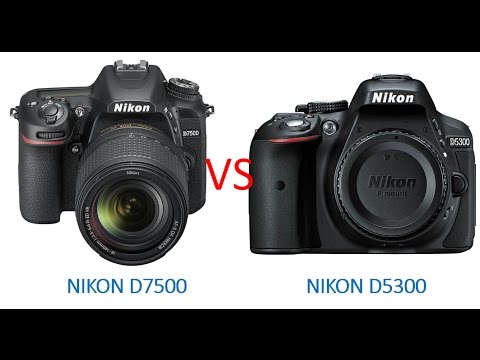 Nikon D7500 vs Nikon D5300