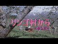 三橋美智也   / リンゴ村から   / seijirou