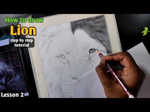 How to Draw Lion Easy Step by Step | Lion Drawing | Lesson 2 - YouTube