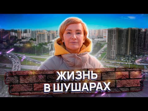 Обзор района Шушары