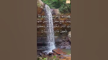 تلاوة سورة الحج #قرآن #قران_كريم #القرآن_الكريم #دعاء #coran #qouran_karim