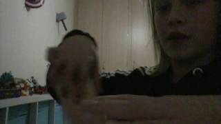 Sisters Again You Know Pranked Me Me Talking Why Did You Do That.