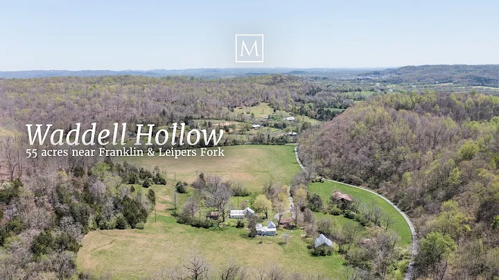 Waddell Hollow: 55 acres near Franklin, Tennessee