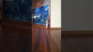 Charlie Walking At The Fairmont 13 Months