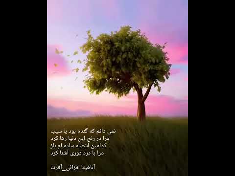 آلبوم زیر باران شقایق