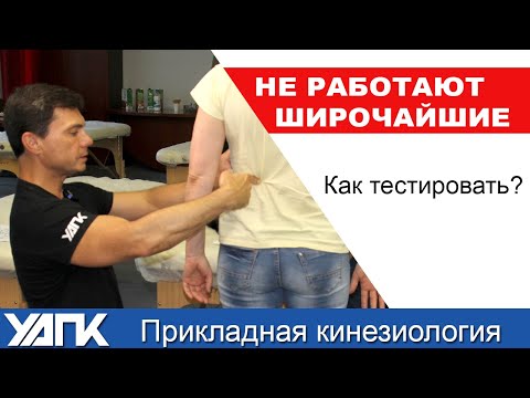 Подробно о широчайшей мышце. Как тестировать дисфункции?