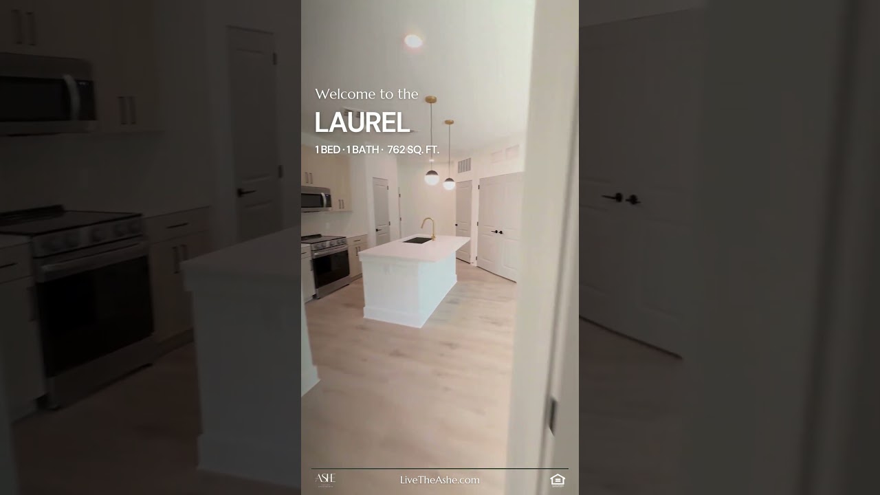 The Ashe · Apartment Tour · Laurel · 1 Bed · 1 Bath 