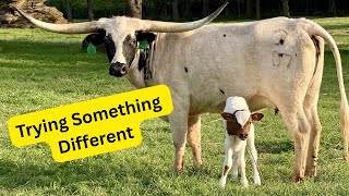 Trying Something Different!