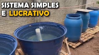 Crie Água Peixes É A Consequencia Saalada