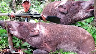 FULL😱😱BERBURU ROBOHNYA 2 EKOR BABI HUTAN ROMBONGAN JUMBO//deadly hunting with spesial airguns 