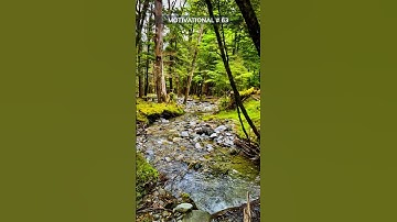 Unveiling Strength in Vulnerability: The Path to Authentic Relationships #motivation #inspiration