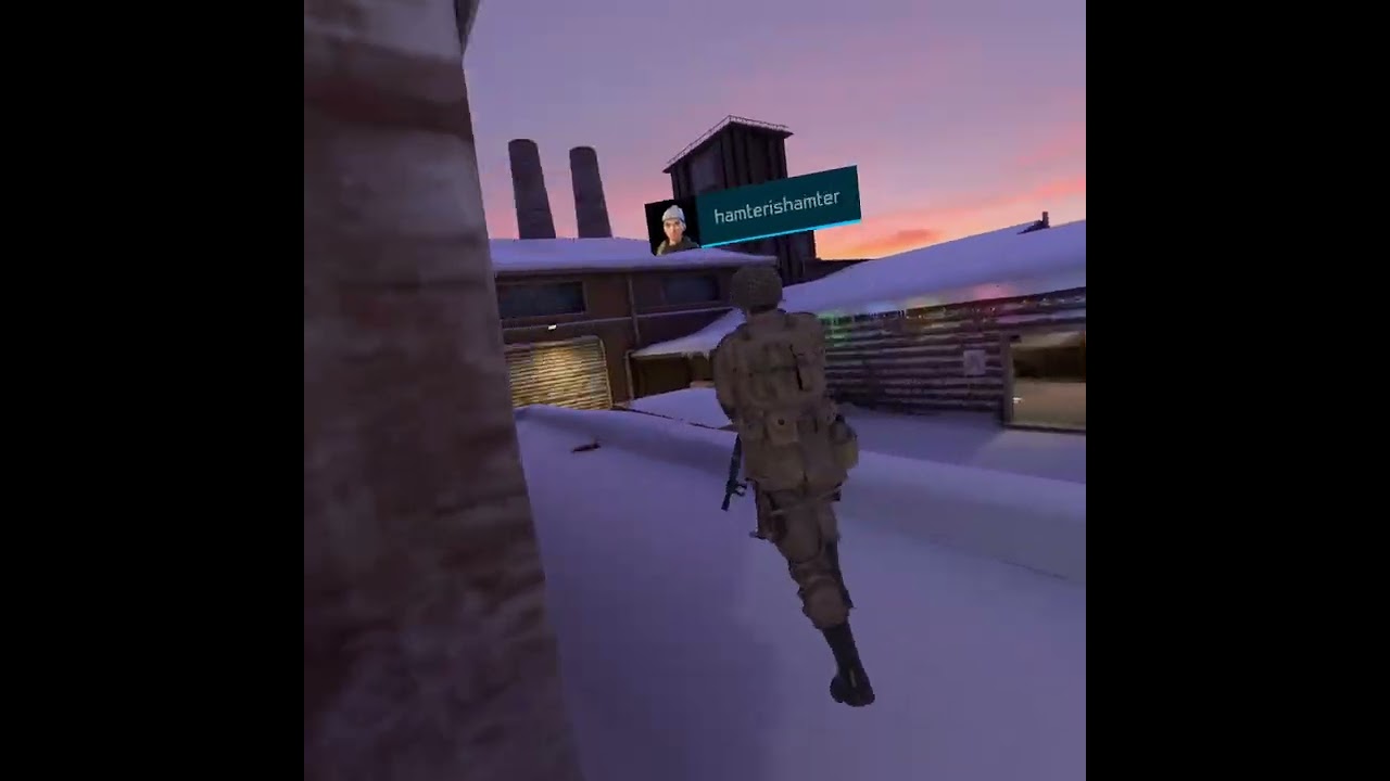 Krauts at the Harbor (Pavlov VR)