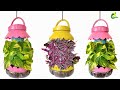 How To Grow Hanging Plants In Plastic Bottles/Plastic Bottle Into Flower Pot/Planter /ORGANIC GARDEN