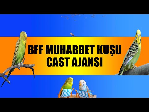 BFF MUHABBET KUŞU CAST AJANSI