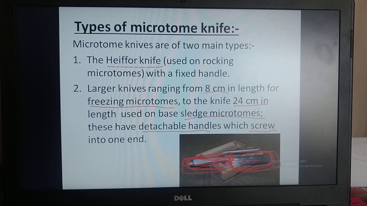 knives (Histopathology) - YouTube