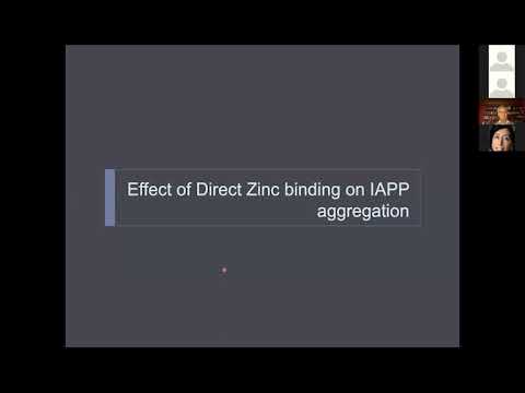 Dr. Feng Ding - ZOOMinar on \