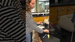 Chem 107 measuring mass