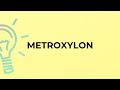 What is the meaning of the word METROXYLON?