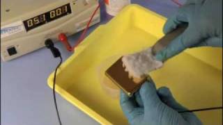Gold Plating Kit - brush plating stainless steel