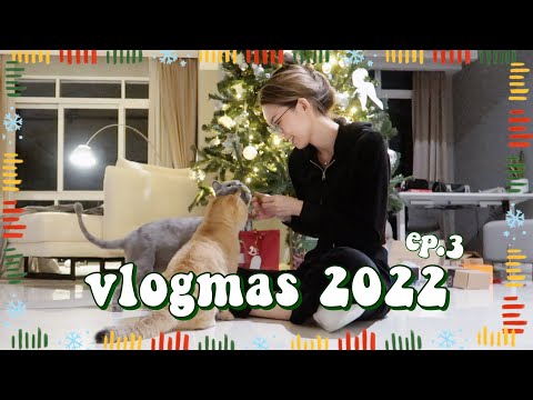 VLOGMAS 🎄Last Week of 2022 烘焙Cookies 🍪 画丙烯画 🎨 圣诞家宴 红酒炖牛肉 😋 | Sylvia Cing
