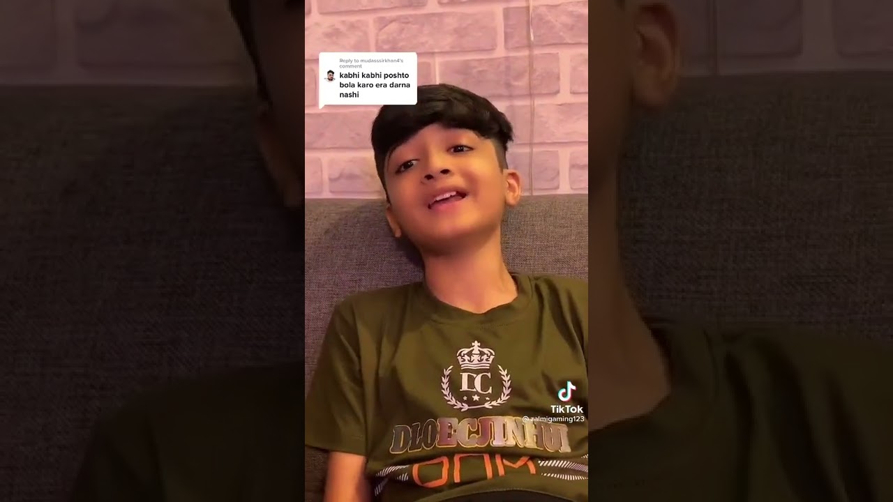 Zalmi Gaming 🔥| Pashto Tiktok | Pashto Video 🔥