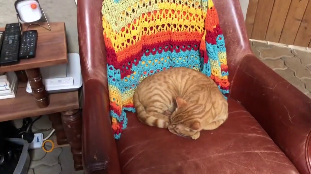 A tour of my mud, clay, earth, cob home in Kenya