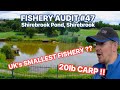 Shirebrook Pond FISHERY AUDIT #47. The UK’s smallest fishery….